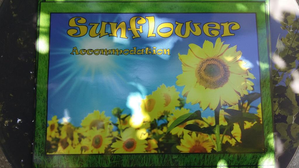 Sunflower Accommodation Laibach Exterior foto